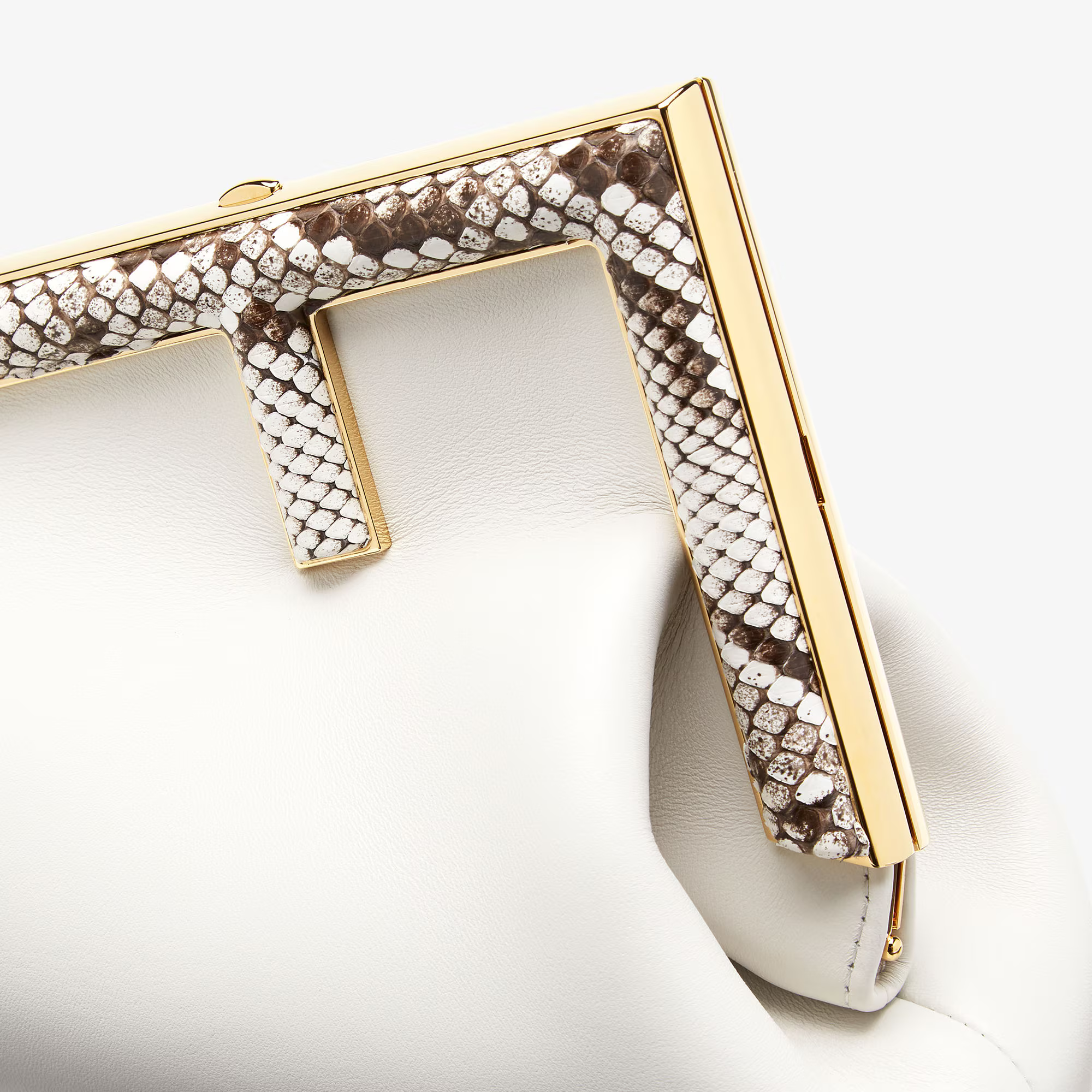 An Ultimate Care Guide for the Fendi First