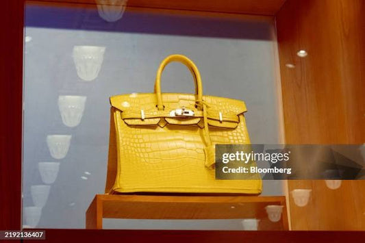 The 5 Most Iconic Bags Ever Photographed: A Fashion Odyssey