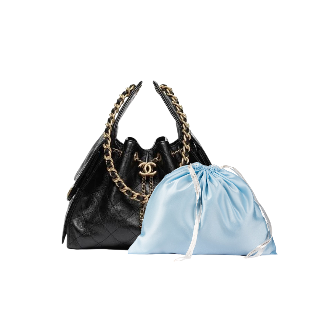 Dust Bag / Handbag Cover for C25